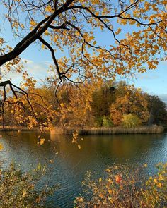 a lake surrounded by trees with yellow leaves