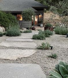 a stone path leading to a small house