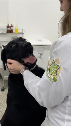 a black dog is being held by a veterinator in a white lab coat