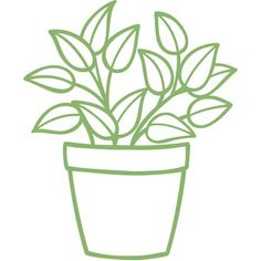 a potted plant with green leaves in it's center, on a white background