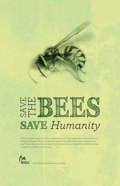 the cover of save the bees save humanity