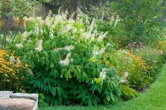 a garden filled with lots of different types of flowers and plants next to a stone bench