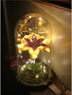 a glass jar with some lights in it and a flower on the inside that is lit up