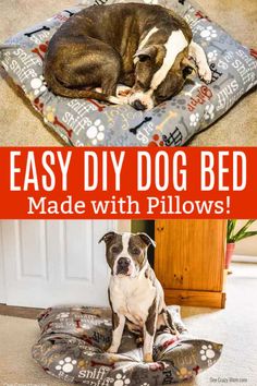 an easy diy dog bed made with pillows is the perfect way to keep your dog cool