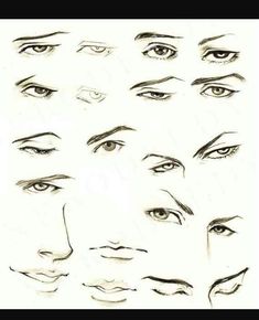 a bunch of different types of eyes and their features are drawn in pencil on paper