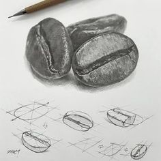 a pencil drawing of coffee beans