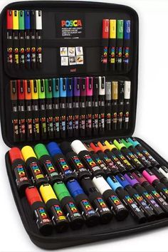 a case filled with lots of different colored markers