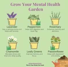 a poster with different types of plants and flowers in pots, including lavenders, peppermin