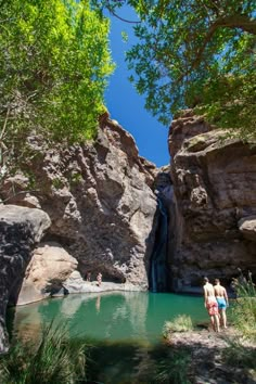 two people are standing in front of a small pool with waterfall at the bottom and trees on either side