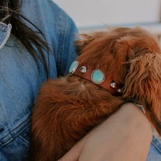 a person holding a dog wearing a leather collar with turquoise stones on it's face