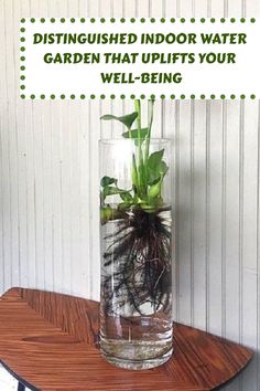 a glass vase filled with water and plants on top of a wooden table next to a white wall