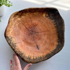 - Round-shaped honey locust wood bowl with a gorgeous color. - A small circle of decayed wood in the center. - Elongated shape with cracks around the edges. - Soft, matte finish. - All surfaces are finished with food-safe Odie's Oil. - Weighs 6 pounds. - Zoom in on the photos for the best view of the wood's unique characteristics and color. - Free local pick-up is available in Portland, Oregon. Measurements:   Interior Opening: 14" x 14" x 4" Note: Before carving, the wood is dried for up to two years. Some cracks are present after the carving process, and over time, more may form as additional drying can occur in your home. This is natural and part of each bowl's unique character. About Nadav: A landscaper by trade, Nadav in recent years began wood carving using material he finds as a byp Wooden Bowl With Resin, Wood Bowls Carving Fish, Hand Carved Wooden Maple Leaf Bowls, Oblong Wooden Bowl, Honey Locust, Valet Tray, Shallow Bowl