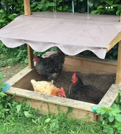 three chickens in a wooden coop under an awning on top of grass and bushes