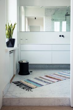 a bathroom with a rug, mirror and plant on the floor in front of it