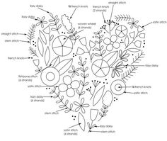 a diagram of the parts of a heart shaped plant with labels labeled in each section