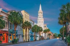 palm trees line the street in front of buildings and a steeple with a clock