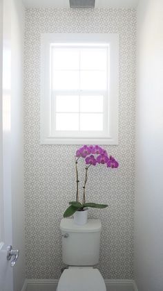 a white toilet sitting under a window in a bathroom