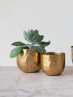 6" Round Debossed Metal Planter, Gold We absolutely love these antique gold debossed planters! They double as a decorative bowl for your kitchen or coffee table. Material: 100% iron Antique Gold Finish No drainage hole Dimensions: 6" Round x 5"H Gold Planter, Kitchen Candles, Planter Table, Metal Planters, Creative Co Op, Fall Wall Art, Small Planter, Candle Vase, Large Planters