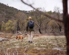 a man walking his dog in the woods