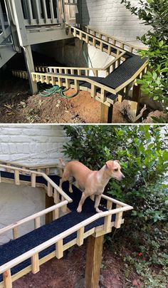 two pictures side by side, one with a dog and the other with a ramp