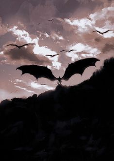 two large black bats flying in the sky over a mountain top with clouds above it