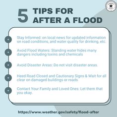 the five tips to avoid flood damage in your home or business, including cleaning and disinfectioning