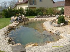 a small pond in the middle of a yard