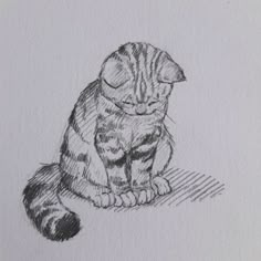 a drawing of a cat sitting on the ground