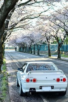 a white car is parked on the side of the road in front of some trees