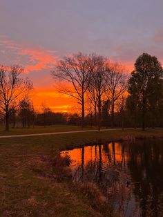 the sun is setting behind some trees and water