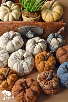 pumpkins and gourds are displayed in an old wooden crate