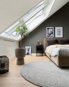 a bed sitting under a skylight in a bedroom next to a table with a potted plant