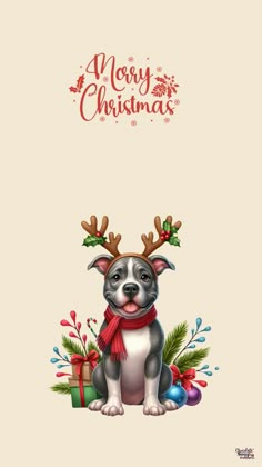 a christmas card with a dog wearing reindeer antlers on it's head and the words merry christmas