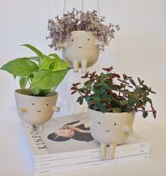 three potted plants sitting on top of each other next to a magazine and planter