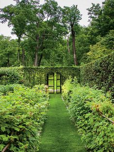 an open door in the middle of a lush green garden with lots of trees and bushes