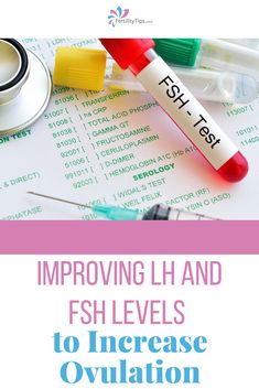 When it comes to fertility hormones, there’s a number of factors that can come into play but maintaining follicle stimulating hormone (FSH) levels and luteinizing hormone (LH) levels can play an important role in regulating ovulation. Click here to learn more about these hormones and how they impact ovulation and find out what you can do to naturally balance their levels. Increase Lh Hormone, Low Fsh Hormone, How To Ovulate Regularly, Leutal Phase, Feeling Angry, Fertility Tracking, How To Get Pregnant