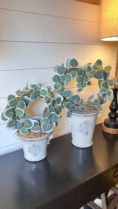 two potted plants sitting on top of a black table next to a lamp and wall