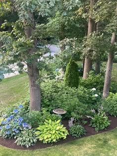 a garden with lots of trees and flowers