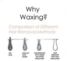 Body waxing is one of the best ways to remove hair for an extended period of time while also keeping it from growing back as thick or as quickly. The technician and product make a huge difference. Careful product selection and extensive training will ensure we get hair out by the roots and you will not have regrowth in a few days. ⁠ ⁠ #SouthernRootsWaxing #wacowaxing #waxingwaco #WacoTX #waxinghelp #supportsmallbusinesswaco #magnolia #traveltex #ShoplocalWaco #vajacialwaco #bestofwaco #Waco #... Hair Waxing, Small Waxing Room Ideas, Waxing Education, Waxing Specialist, Waxing Tips For Estheticians, Waxing Post Ideas, Waxing Information, Different Types Of Waxing, After Waxing Care Tips