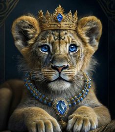 a lion cub wearing a tiara with blue eyes