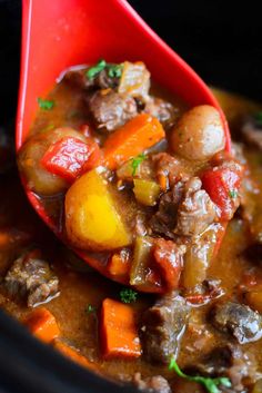 a spoon full of stew with meat and vegetables