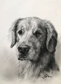 a black and white drawing of a dog