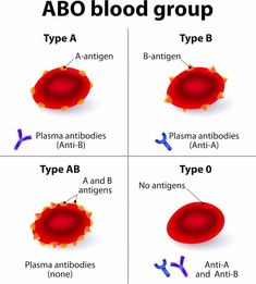 the different types of blood groups