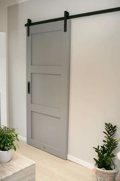 an open sliding door in a living room with potted plants on the floor and another plant