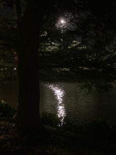 the moon shines brightly through the trees over water