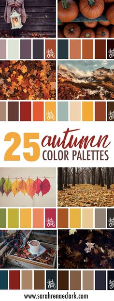 autumn color palettes with the title 25 autumn color palettes