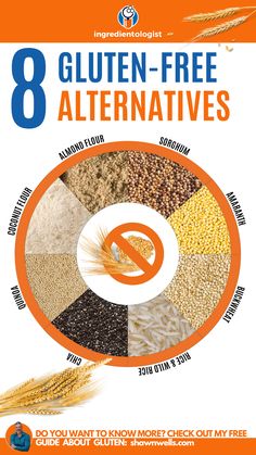 Do you use any of these 8 GF alternatives? What are your top, GO-TO #glutenfree picks❓⁣⁣⁣⁣   ⁣ ⁣ #gluten #glutenfreelife #glutenfreeliving #glutenfreelifestyle #glutenintolerance #glutenallergy #wheatfree #glutenintolerant Gluten Allergy, Healthy Balanced Diet, Gluten Free Living, Gluten Intolerance, Best Supplements, Gluten Free Diet, Wheat Free, Healthy Ingredient, Best Diets