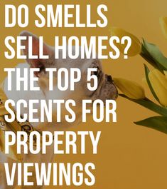 a dog sniffing a bunch of flowers with the words do smells sell homes? the top 5 scent's for property viewings