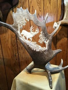 an antlers head on top of a table