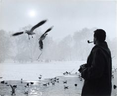 a man standing in front of a lake surrounded by birds